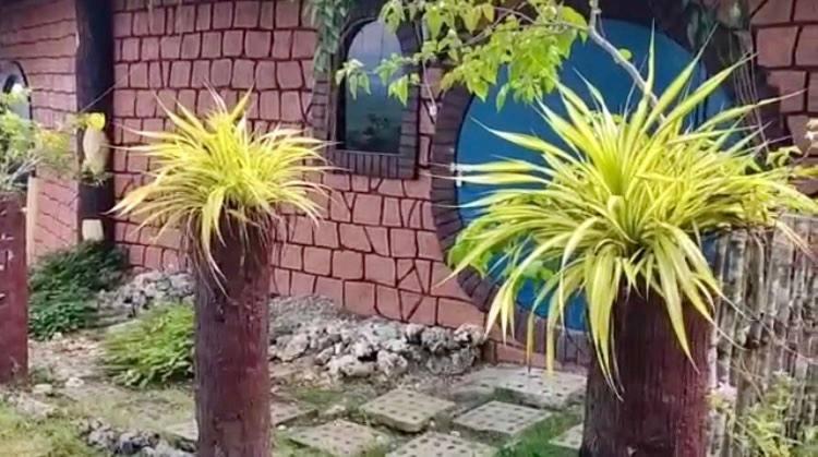 Kamp Aninipot Siquijor Exterior foto